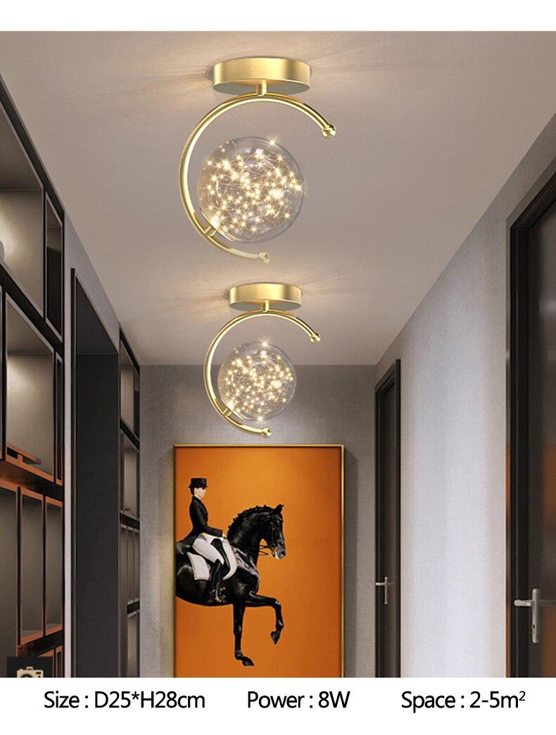 LED Ceiling Light Indoor Black&Gold Ceiling Lamp for Living Room Bedroom Aisle Corridor Porch Lighting Light Home Decor Fixtures
